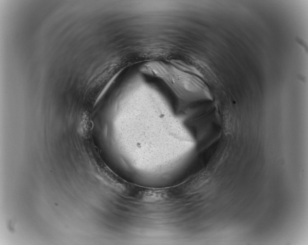 X0000100880077200807071137