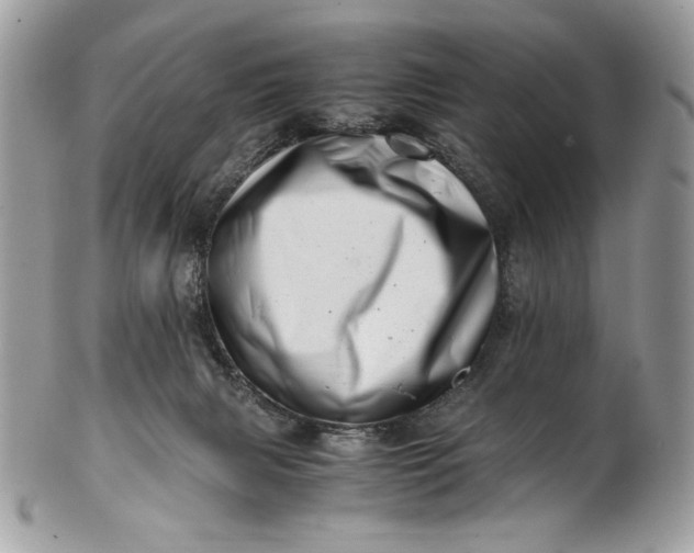 X0000100880079200807071137