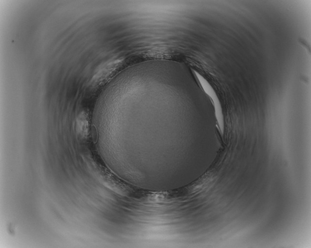 X0000100880080200807071137