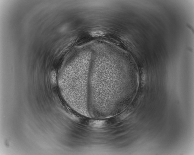 X0000100880081200807071137