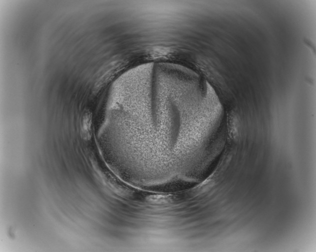 X0000100880082200807071137