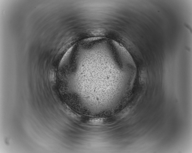 X0000100880084200807071137