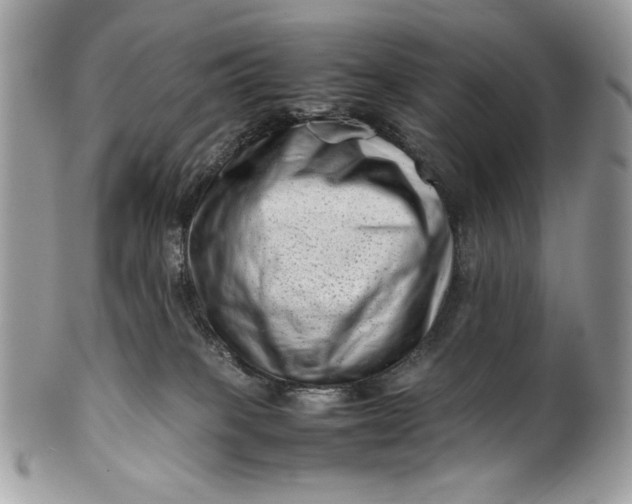 X0000100880085200807071137