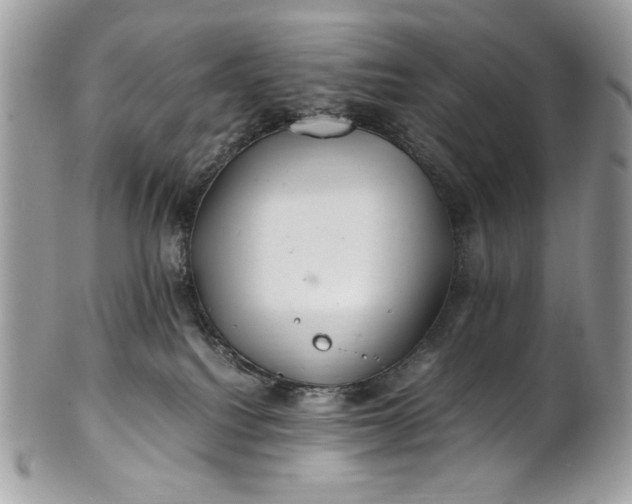 X0000100880088200807071137