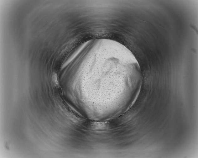 X0000100880089200807071137