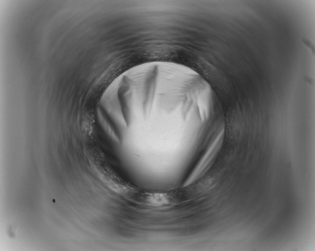 X0000100880091200807071137