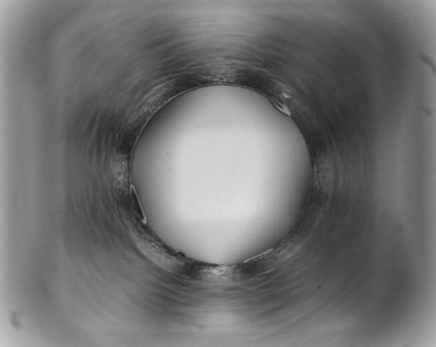 X0000100880092200807071137