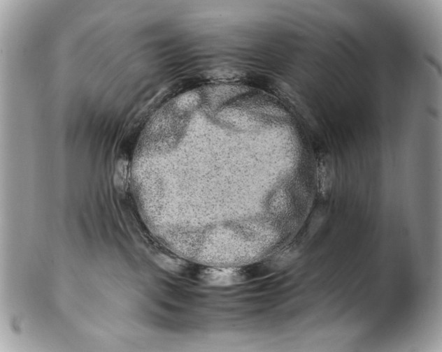 X0000100880093200807071137