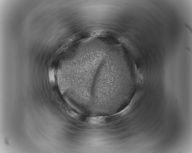 X0000100880094200807071137