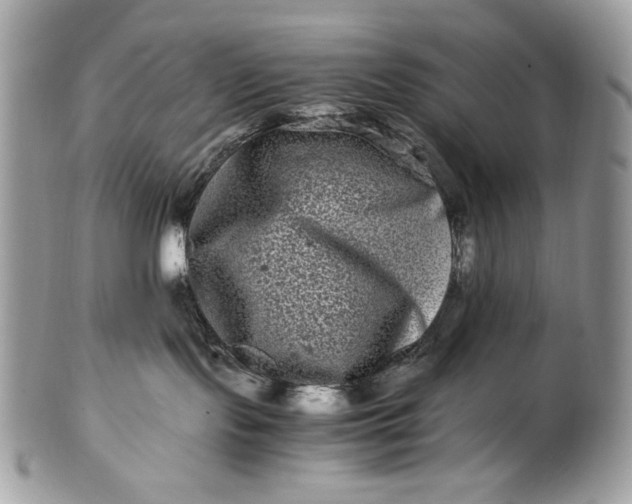 X0000100880095200807071137