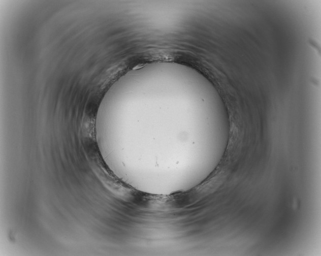 X0000100880096200807071137