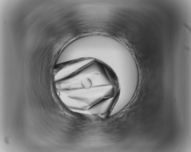 X0000100880097200807071136