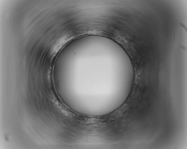 X0000100880098200807071136