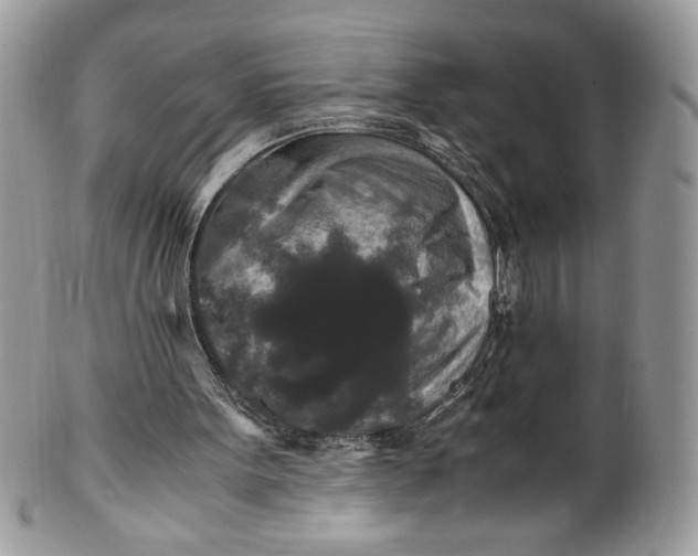 X0000100880099200807071136