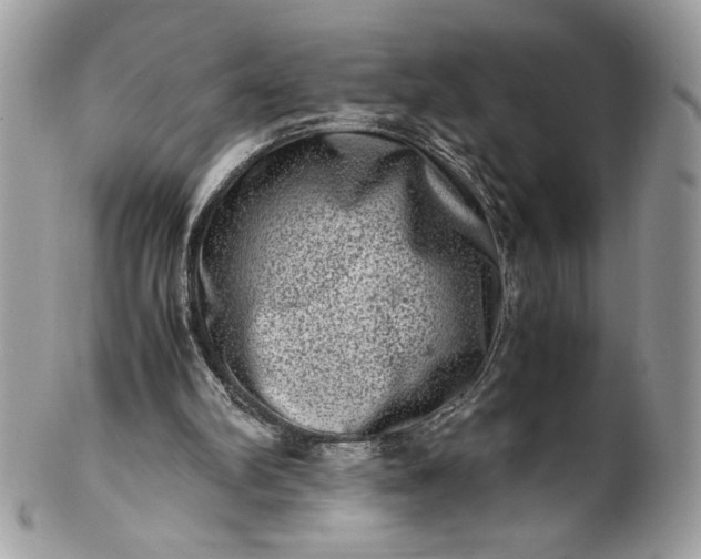 X0000100880102200807071136