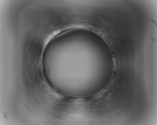 X0000100880104200807071136