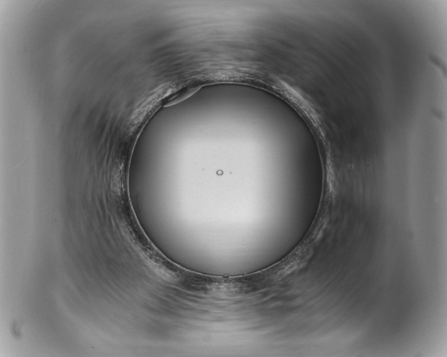 X0000100880105200807071136