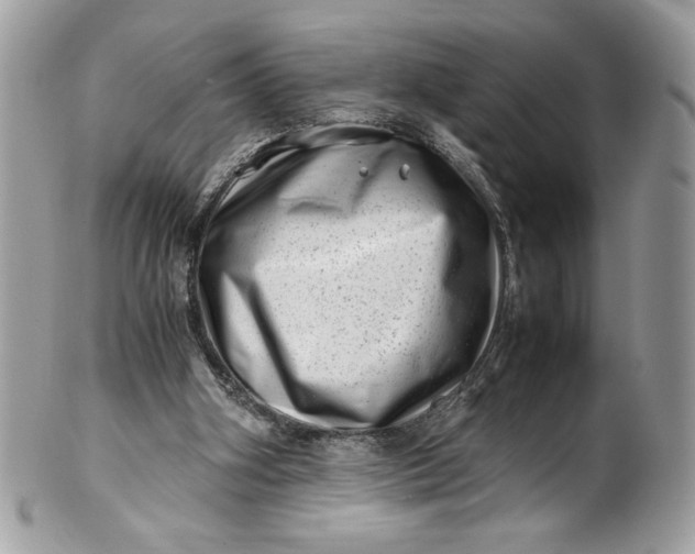 X0000100880106200807071136