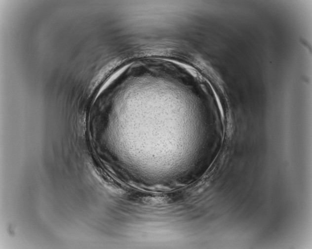 X0000100880107200807071136