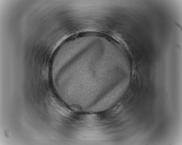 X0000100880108200807071136