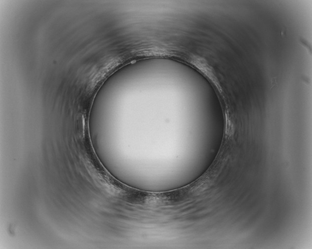 X0000100880109200807071136