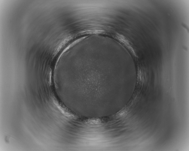 X0000100880110200807071136