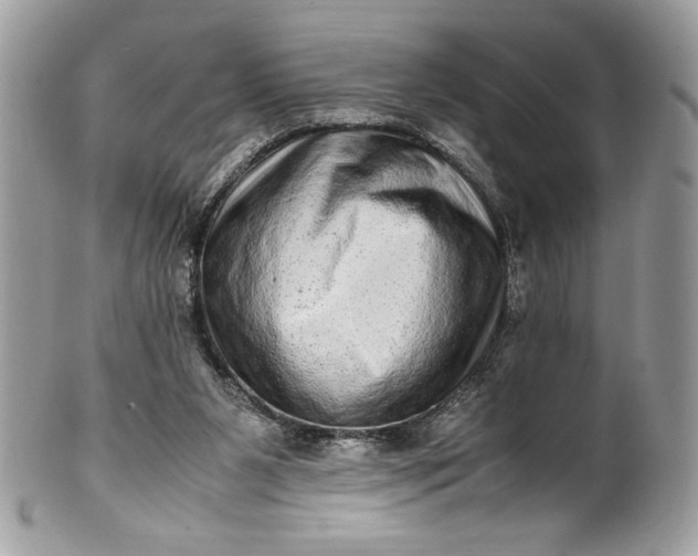 X0000100880111200807071136