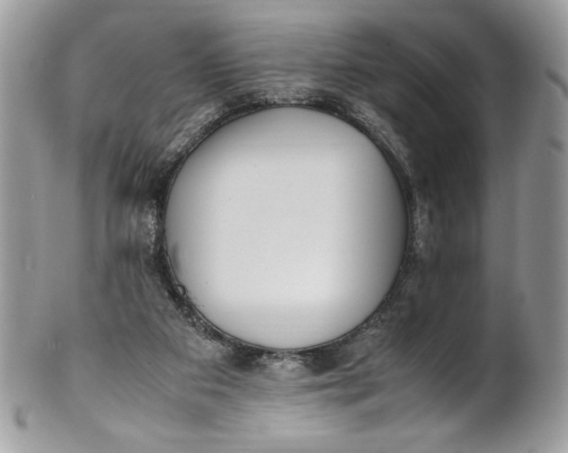 X0000100880113200807071136