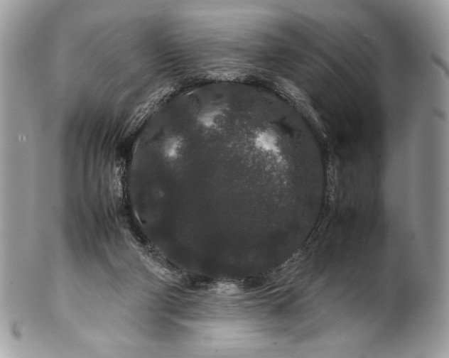 X0000100880114200807071136