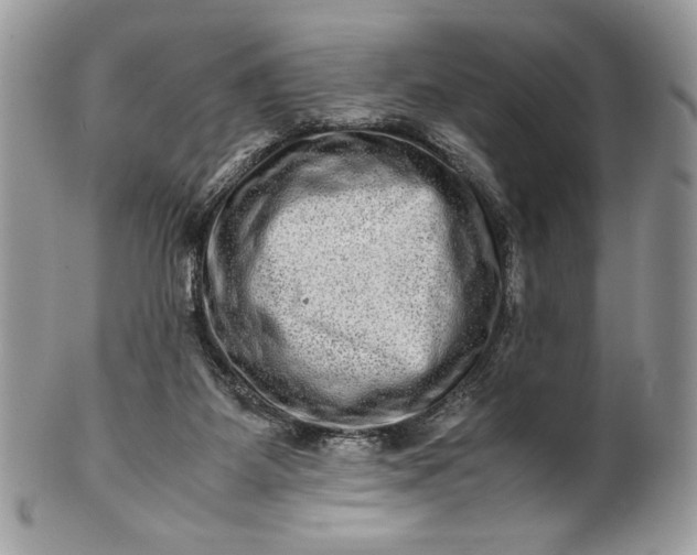 X0000100880115200807071136