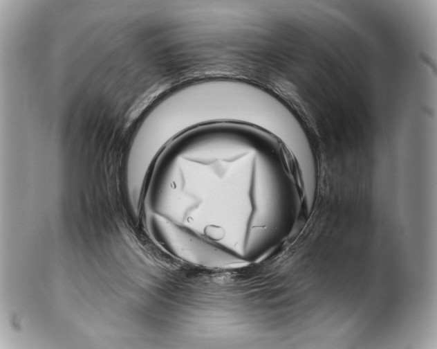 X0000100880116200807071136