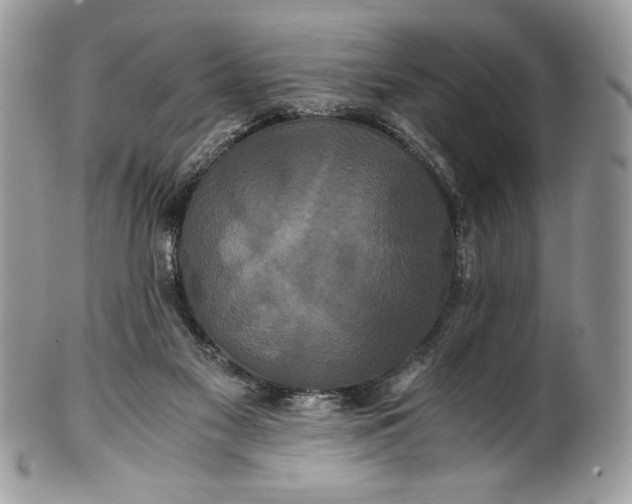 X0000100880117200807071136