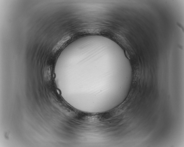 X0000100880120200807071136