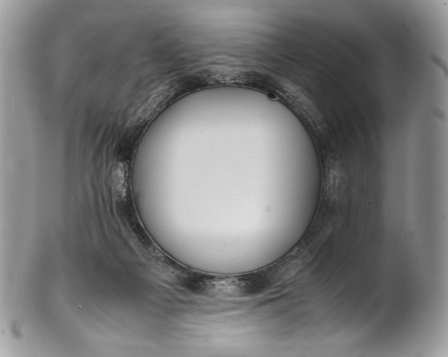 X0000100880121200807071136