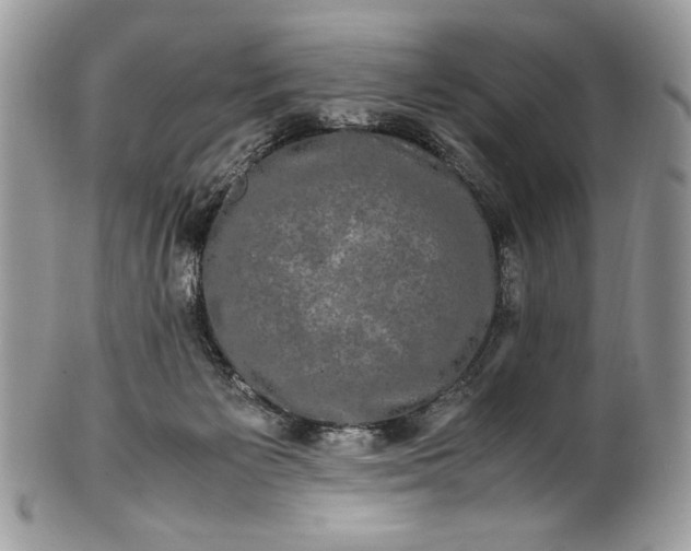 X0000100880125200807071136