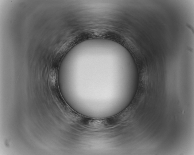 X0000100880129200807071135