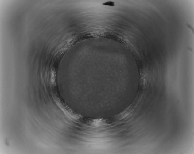 X0000100880130200807071135