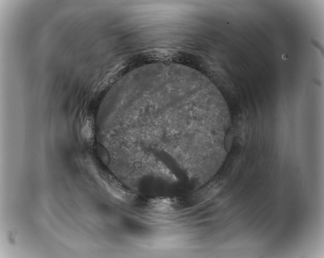 X0000100880131200807071135