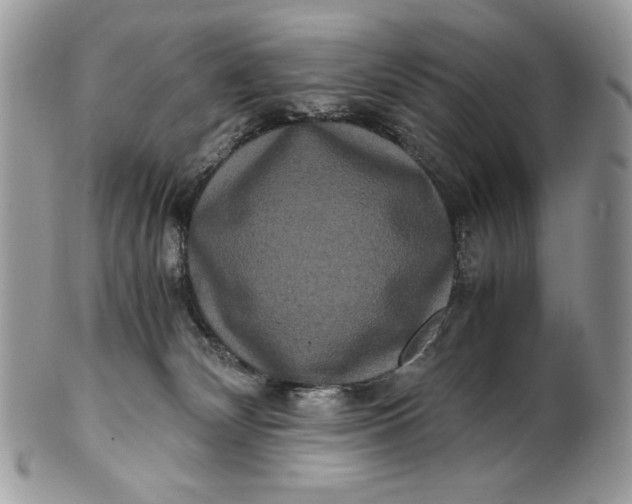 X0000100880132200807071135