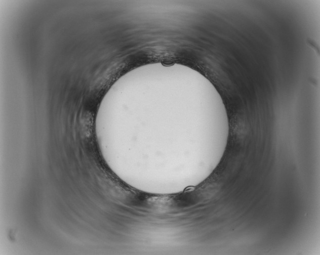 X0000100880133200807071135