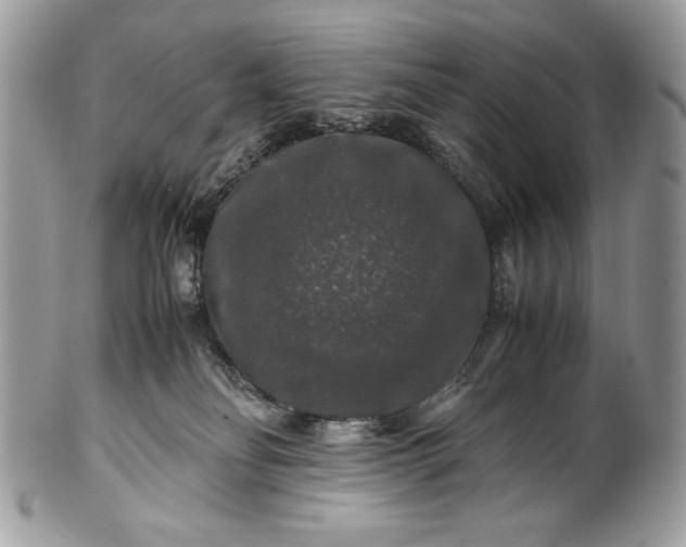 X0000100880134200807071135