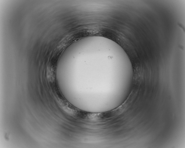 X0000100880136200807071135