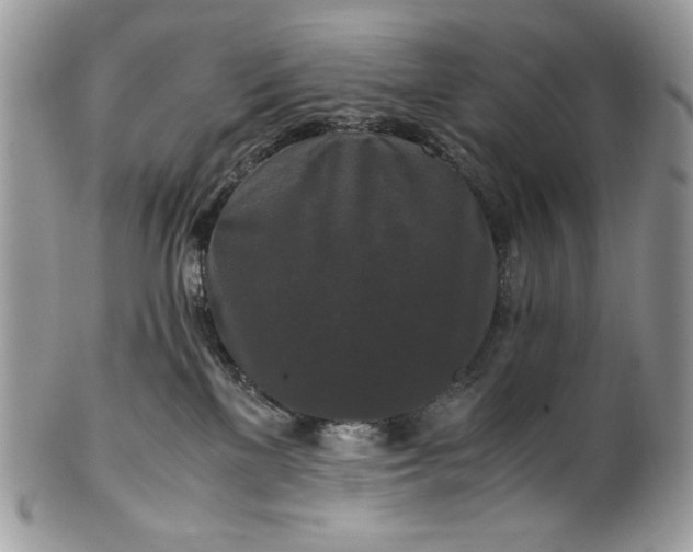 X0000100880137200807071135