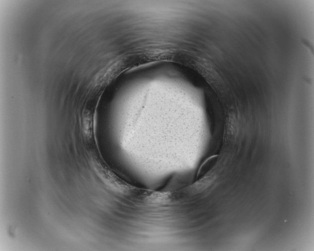 X0000100880138200807071135