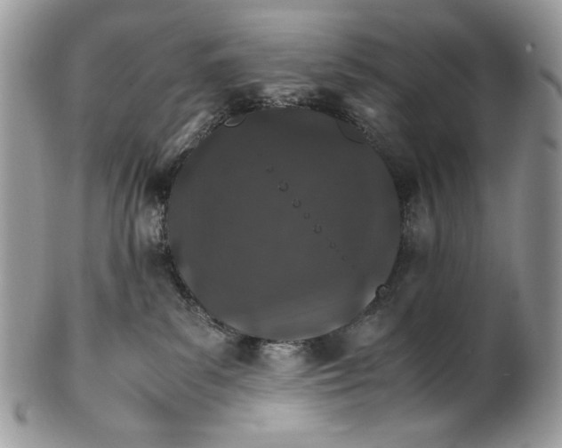 X0000100880139200807071135