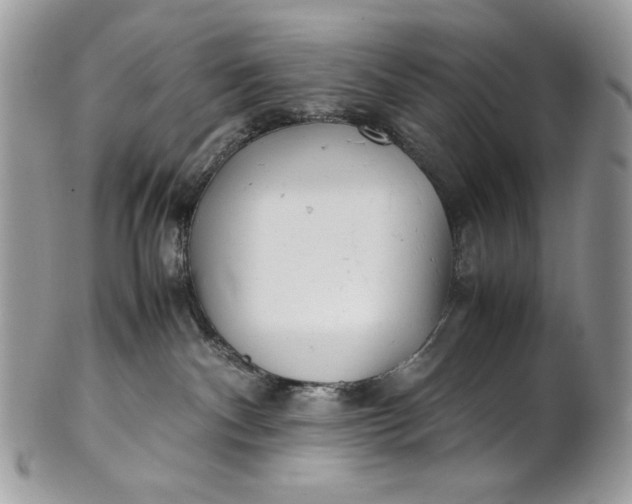 X0000100880140200807071135