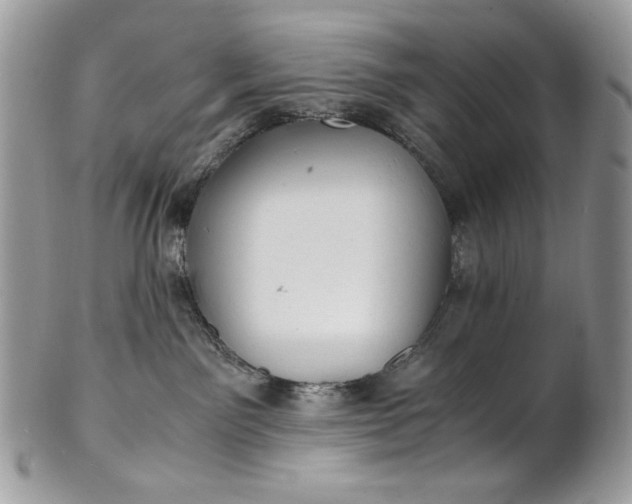 X0000100880141200807071135