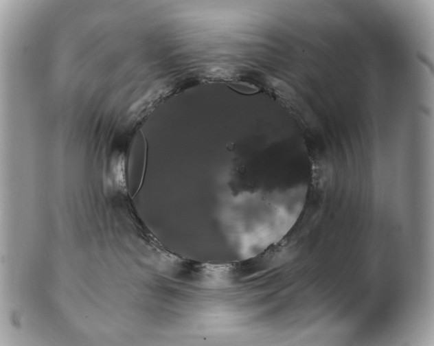 X0000100880143200807071135