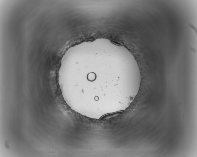 X0000100880144200807071135