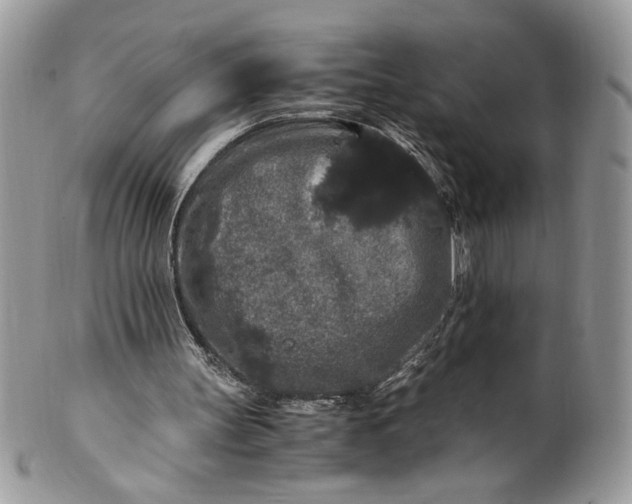 X0000100880147200807071135